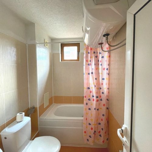 four leaf clover studio plus apartment bathroom