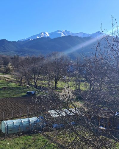 view flc bansko
